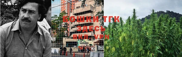 прущие крисы Баксан