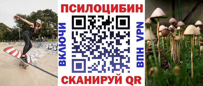 Галлюциногенные грибы Psilocybe  Избербаш 