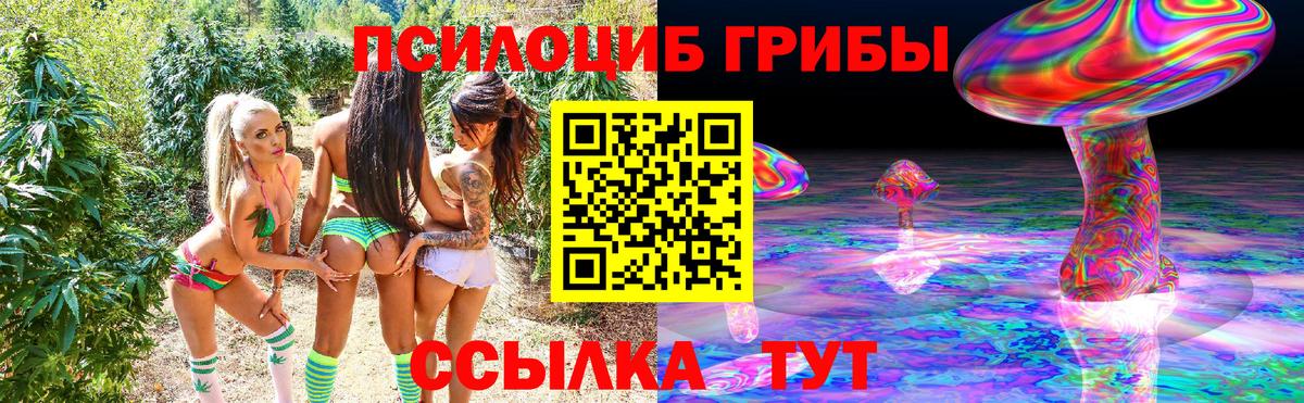 Псилоцибиновые грибы мицелий  Избербаш  Псилоцибиновые грибы прущие грибы 