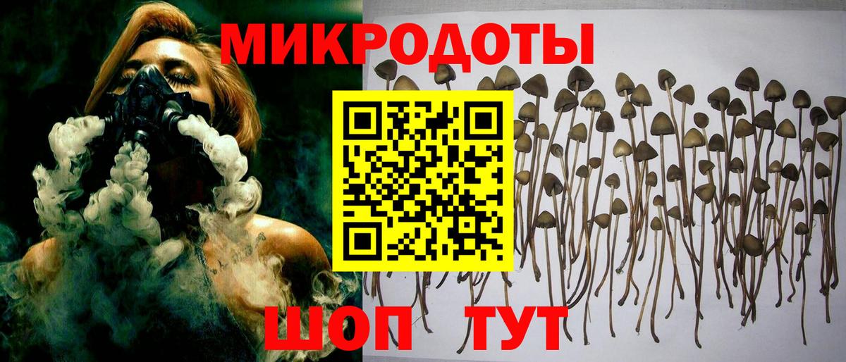 Избербаш  Галлюциногенные грибы GOLDEN TEACHER  Псилоцибиновые грибы MAGIC MUSHROOMS  Вход с VPN 