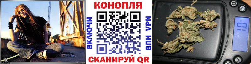 Конопля сатива  Избербаш 